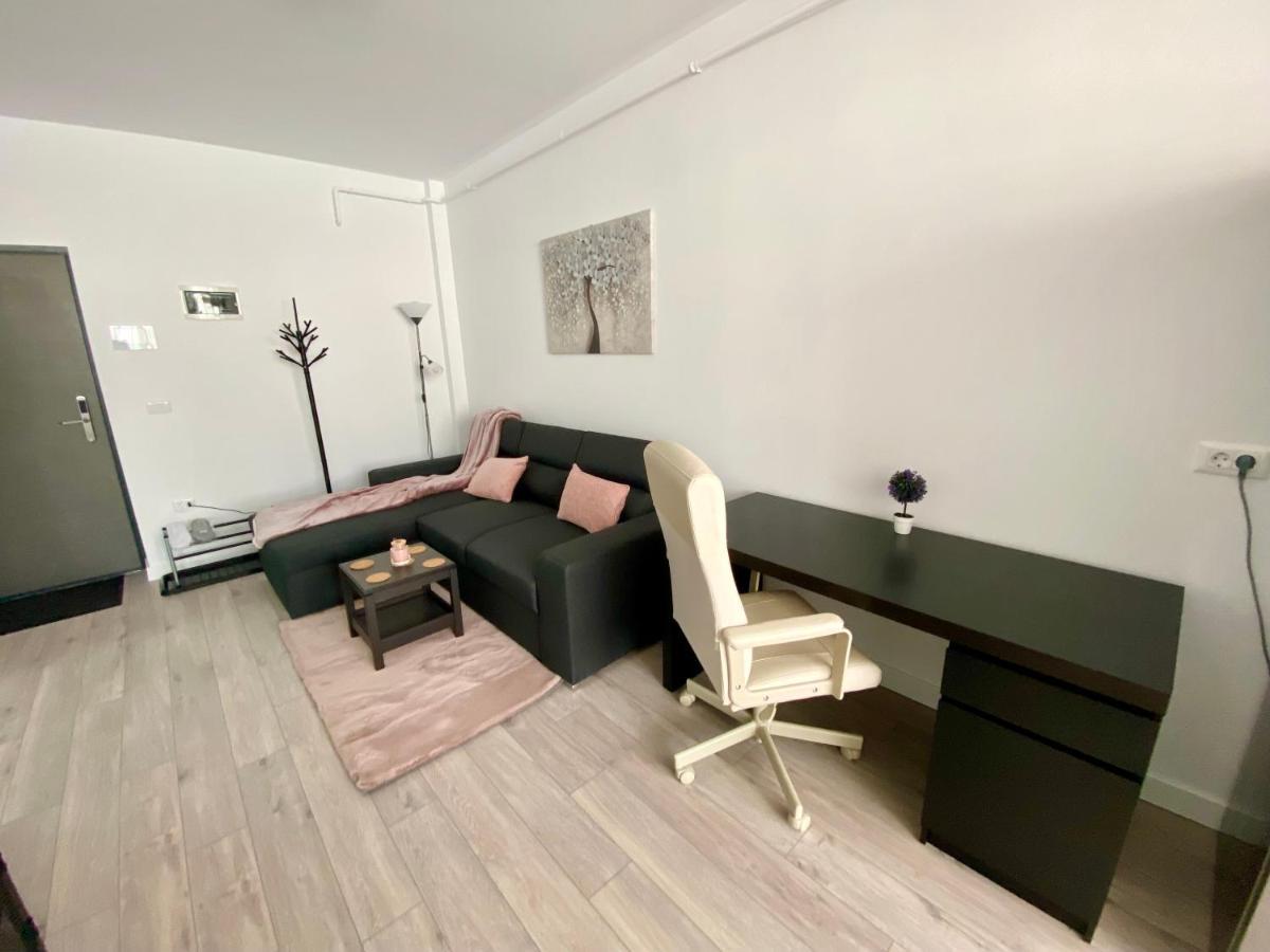 Angela Nordic Apartment. Suceava Esterno foto