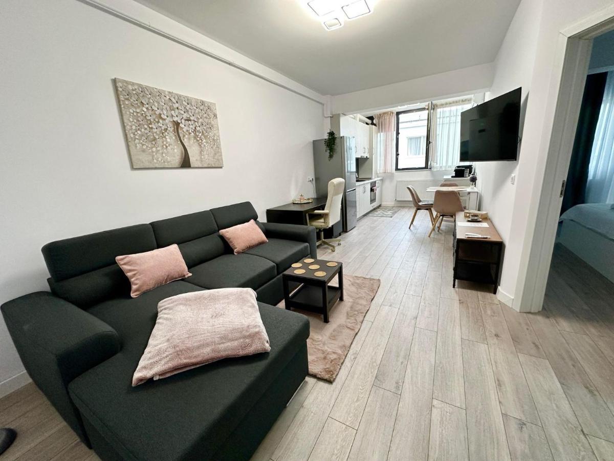 Angela Nordic Apartment. Suceava Esterno foto